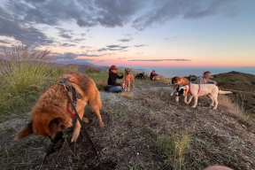 «Знакомые в качестве волонтеров живут и во французских замках, и на фермах в Исландии»