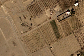 Кто на самом деле своих не бросает