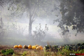 «И что вы думаете, окупились мои страдания»
